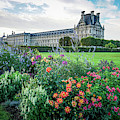 Louvre